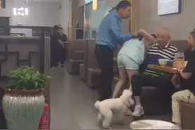 7月3日|西安 女子带狗就餐  被邻桌男子要求牵狗出去 女子多次出言不逊并动手 所作所为惊呆食客 警方已经介入视频封面