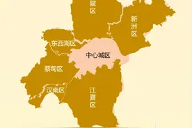 一句话介绍武汉六个远城区！ #武汉 #黄陂 #江夏 #新洲视频封面