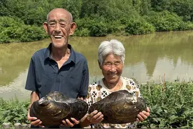 嘎啦瓢做七样！#被农村的爷爷奶奶治愈#记录真实生活 #农村美食 #恩爱夫妻视频封面