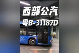 深圳西部公汽M340路的粤B31187D  对你们有些失望……. #公交迷 #城市公交 #深圳公交 #深圳 #公共交通视频封面