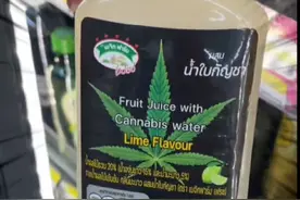 去泰国旅游，这几样东西千万不要碰#泰国旅游注意事项 #泰国绿叶子