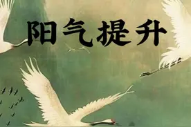 提升阳气保护自身能量 #天涯神贴#认知#自我提升#思维#开悟