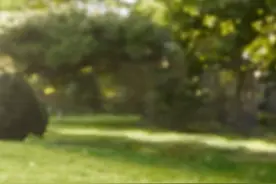 娇妻文学不是矮化幼态女性好吗，穿衣服还搞出个奶辣风#娇妻视频封面