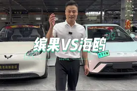 谁是最值得买的7w纯电小电车？#五菱缤果 #比亚迪海鸥