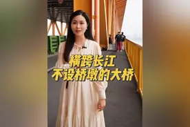 今天带大家看一看主桥长1700米，但不设一座桥墩的武汉杨泗港长江大桥。#武汉 #武汉杨泗港长江大桥 #基建狂魔视频封面