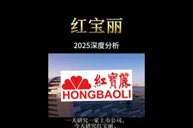 一天研究一家上市公司：红宝丽 2025年最新基本面分析 #红宝丽 #环氧丙烷 #光刻胶 #投资 #股民视频封面