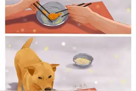 万物皆有灵，狗狗把自己最爱吃的鸡腿让给了主人，自己只吃一点残渣，太暖了。#画一个故事 #治愈系 #狗狗的心思都写在脸上了 #抖音创作季 #狗狗