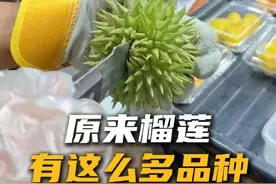 强烈建议榴莲爱好者过来了解一下！#科普 #榴莲 #冷知识 #美食