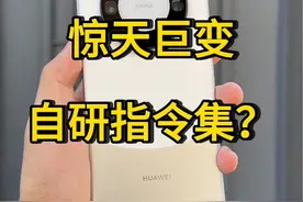 华为自研指令集#华为 #华为mate60 #指令集 #鸿蒙 #芯片