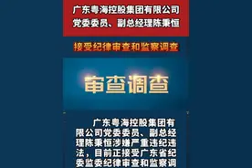 广东粤海控股集团有限公司党委委员、副总经理陈秉恒被查!#违纪违法视频封面