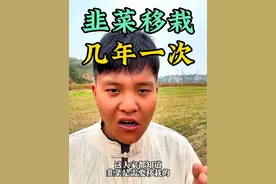 韭菜需要移栽，但是你们知道韭菜几年移栽一次吗？#韭菜种植 #韭菜移栽 #分享农业知识帮农民增产增收 #新农人计划2024 #农业种植视频封面