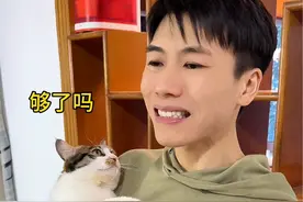 猫咪打人会不会伸指甲 #记录猫咪日常 #萌宠出道计划 #我和我的怨种猫咪 #猫咪 #创作灵感