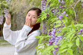 出门游玩.遇到花这样拍！简单又好看呢！#手机摄影 #拍摄技巧 #拍摄教学