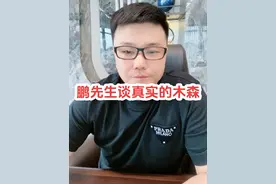木森的老板鹏先生谈真实的木森#木森 #鹏先生 #仁汇优品