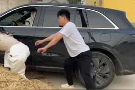 姐姐拿到驾照开始炫耀，要自己开车出去玩弟弟不让视频封面