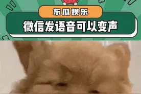 这就去整蛊朋友#语音#冷知识#变声#娱乐评论大赏