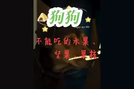 狗狗不能吃葡萄、葡萄干 ，果核，坚果！#狗狗不能吃
