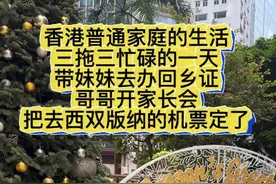 三拖三忙碌的一天，把西双版纳的机票定了#香港 #香港生活 #记录真实生活 #普通人的生活是什么样子的 #我们一家的平淡生活视频封面