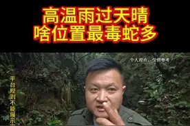 目前的温度雨过天晴，什么事都有。我只是简单说了一下具体的毒蛇，特别是晚上一定要注意安全。#户外 #农村生活 #蛇 #五步蛇 #眼镜王蛇视频封面