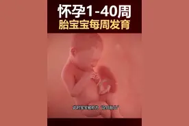 🤰怀孕1-40周胎宝成长全记录 准妈妈快来学习👶  ✨【孕早期：1-12周】生命的奇妙启程 第4周：小海马初现！神经管形成，脑发育按下启动键🧠 第8周：心脏开始"咚咚"跳啦💓，B超能看到小豆芽啦 第12周：五官初现雏形，会吮吸手指的机灵鬼👐 · 🌸【孕中期：13-28周】技能点疯狂加载 第16周：妈妈感受到第一次胎动！像小鱼吐泡泡🐟 第20周：全身绒毛覆盖，开始吞咽羊水练习呼吸🫧 第24周：睫毛弯弯像小扇子，能听见外界声音啦👂 第28周：大脑沟回形成，会做梦的小思想家💭 · 🎉【孕晚期：29-40周】冲刺倒计时 第32周：小房子越来越挤，胎头开始朝下准备入盆🏠 第36周：脂肪层增厚变成胖乎乎的小团子🍡 第40周：肺发育完成，随时准备发动！发动信号：见红/破水/宫缩🚑 · 📌产检小贴士： 12周NT早唐｜16周唐筛｜20周大排畸｜24周糖耐｜28周小排畸｜36周后每周胎心监护 · 💌准妈妈们记得： ▫每周拍孕肚照记录合体时光 ▫和宝宝说话/放胎教音乐 ▫左侧卧睡+托腹带缓解压力 ▫数胎动（每小时3-5次正常） · 你的宝贝现在到第几周冒险啦？👇评论区接好孕！🍼  #孕期日记 #胎儿发育 #接好孕 #新手妈妈 #孕期知识视频封面