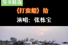 还有两天就是除夕了，还有多少在外打拼的朋友还在往家赶？雪后路滑注意安全。今天继续为大家安排张栋宝老师的经典琴书《打蛮船》，今天书有点长，请慢慢欣赏。#传播戏曲文化 #琴书#回家过年那条路