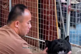 能被狗狗喜欢的人，说明有灵气且运气好，狗狗愿意亲近的往往都是灵魂很轻的人，狗能分辦善恶，它会选择靠近心地善良，温暖，有爱心的人，招狗狗喜欢，说明你磁场干净，气息纯净，就是有灵气和有福之人，这辈子运气好 。#五黑犬 #中华田园犬 #不养狗不知道养狗的乐趣视频封面