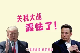 东北疯讽刺配音941：关税大战踢到铁板，懂王露怯了，哈哈视频封面
