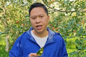 #病虫害防治 #苹果种植 #农业植保知识分享 #抖音新农人