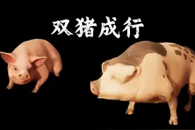 这是什么阴间剧情！ 结尾属实蚌埠住了，哈哈哈哈哈#双影奇境 #双人成行 #steam游戏视频封面