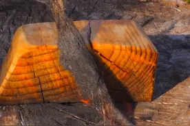 野外生火小妙招之摩擦起火#荒野生存 #野外生活 #野外生存技能 #生火煮饭