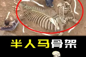 考古挖出“半人马”骨架，是真的吗？ #奇闻奇事 #未知生物视频封面