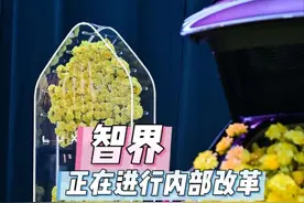 智界正在悄悄进行内部改革？华为将进一步主导？#华为 #奇瑞 #智界