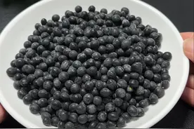 才知道，黑豆这样吃最营养，比吃补药还好，做法简单，一看就会视频封面