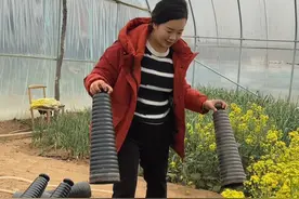 简单的日子简单过，你会发现韭黄很黄，饺子很香！生活是自己的，与他人无关，若快乐就及时分享，快乐自由过好每一天！#日常vlog #婆媳 #家