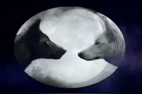 那奇沃夫被diss了？#说唱 #那奇沃夫