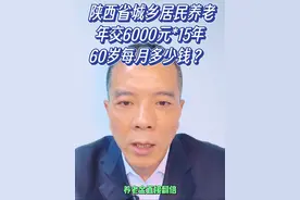 陕西省城乡居民养老，每年缴费6000元，15年后每月多少钱？ #创作灵感  #社会百态 #干货分享 #老百姓关心的话题 #社保视频封面