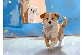 狗狗想带自己的小伙伴回家吃饭，进门后摇尾讨好主人，像极了自己小时候的样子，感觉被内涵到了。#画一个故事 #狗狗的心思都写在脸上了 #治愈系 #抖音创作季 #内容启发搜索视频封面