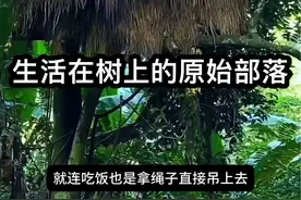一辈子只生活在树上的原始部落你见过吗？#民族特色民族文化 #抖音看世界 #少数民族 #旅行推荐官 #风土人情视频封面
