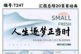 T247工作汇报|年中总结|述职报告视频封面