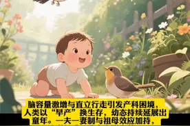 为什么所有动物里，只有人类幼崽发育得这么慢？ 为什么所有动物里，只有人类幼崽发育得这么慢？Why, among all animals, do only human babies develop so slowly? 脑容量与骨盆的进化博弈，叠加社会结构变迁，解开人类成长的独特谜题 脑容量激增与直立行走引发产科困境，人类以“早产”换生存，幼态持续延展出童年。一夫一妻制与祖母效应加持，让漫长成长孕育文明火种。随文：脑容量激增与直立行走引发产科困境，人类以“早产”换生存，幼态持续延展出童年。一夫一妻制与祖母效应加持，让漫长成长孕育文明火种。#涨知识 #科普 #知识分享 #育儿视频封面