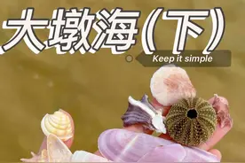 大墩海（下）海神广场左侧沙洲 沙洲退潮之后才能露出来，可以潮高2米之下水浅了再趟水过去，或者从大犇牛房车露营地那边走过去#大海的馈赠 #捡贝壳 #治愈系 #内容启发搜索 #北海