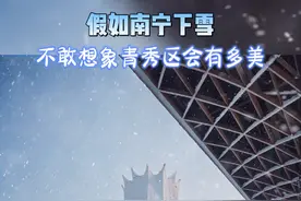 假如南宁下雪，不敢想象青秀区会有多美 #南宁下雪 #雪景 #AI#葡萄成熟时 #冬至#冬至的最佳打开方式