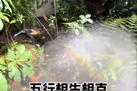 五行相生相克，记得帮孩子收藏