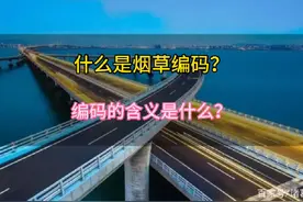 烟盒上的编码是什么？他们的含义是什么？#烟草编码#烟民看过来视频封面