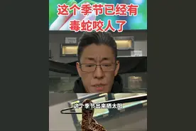 这个季节容易被咬伤的毒蛇是短尾蝮 视频15秒处有一闪而过的短尾蝮的图片，大家认识一下，这时候毒液饱满，被咬以后也不用太惊慌。#短尾蝮 #越早知道越好 #知识分享 #蛇类科普