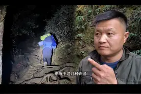 天黑山上传来怪声，你们千万不要怕，其实他就是一只鸟。#户外 #野外生存 #探险 #爬山 #徒步