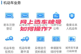车牌网上选号操作流程分享~#选牌照技巧视频封面