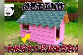小伙怕女儿在家捣乱，便用木板搭建一个简易小窝，让她能肆意玩耍视频封面