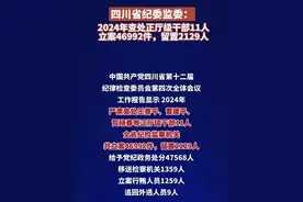 四川省纪委监委：2024年立案46992件，留置2129人视频封面