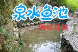 给我们的泉水鱼池的泉眼加了过滤，希望水能清澈起来！#三农 #农村生活 #旧房改造 #山泉水 #鱼池